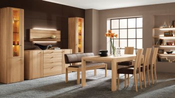 GIÁM ĐỐC ĐIỀU HÀNH CÔNG TY CỔ PHẦN NỘI THẤT AP